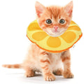 Extra Small Cone Collar L616517