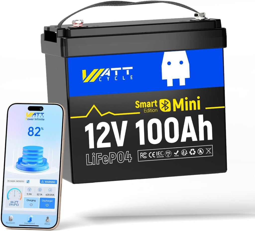 12V 100Ah Mini LiFePO4 Battery Group 24 A4781