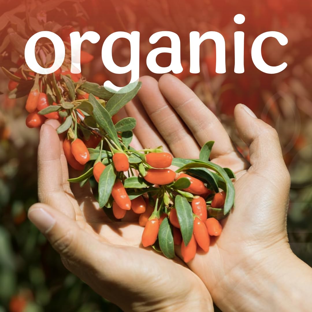 Organic Goji Berries C456478