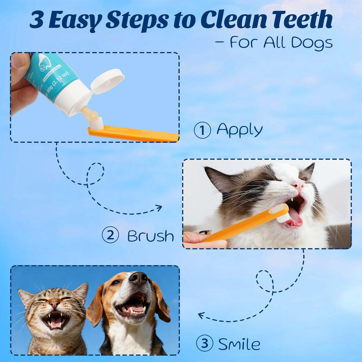 Coconut Chicken Flavor Dog Toothpaste with Toothbrush Kit 2.1oz D942385
