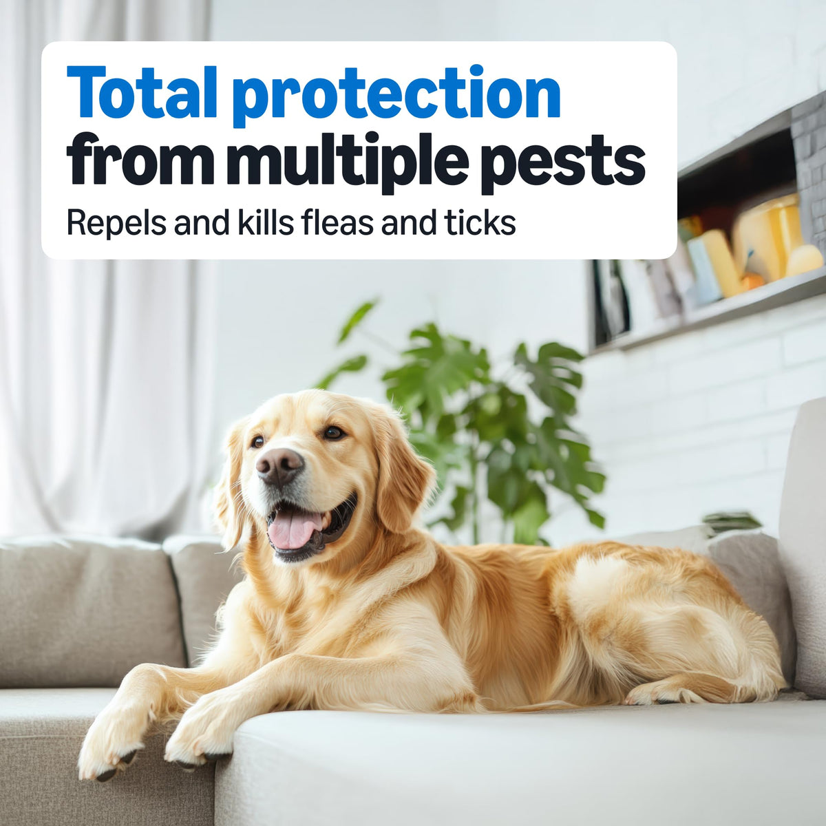 Flea and Tick Topical Treatment for Medium Dogs 3 Count S931292