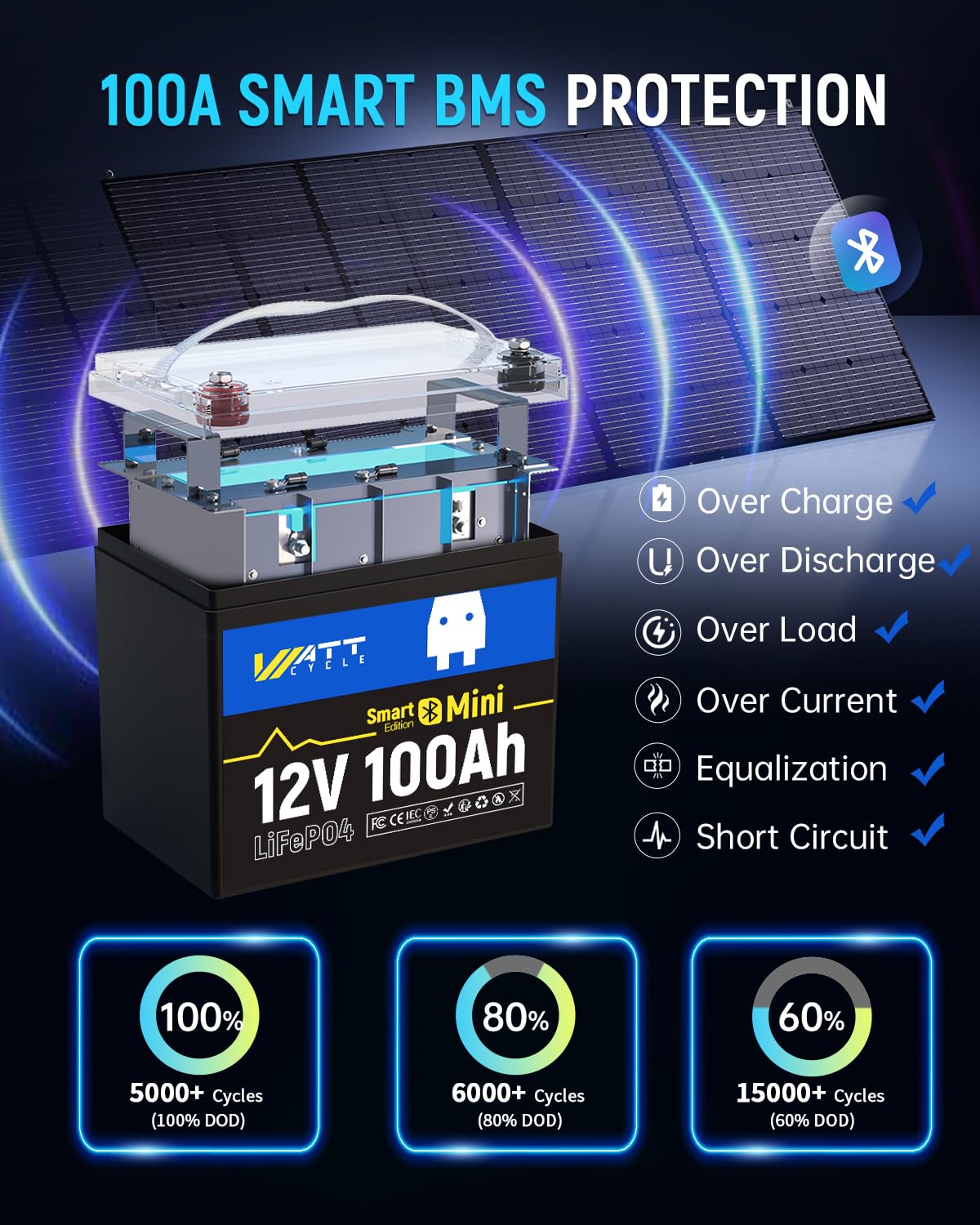 12V 100Ah Mini LiFePO4 Battery Group 24 A4781