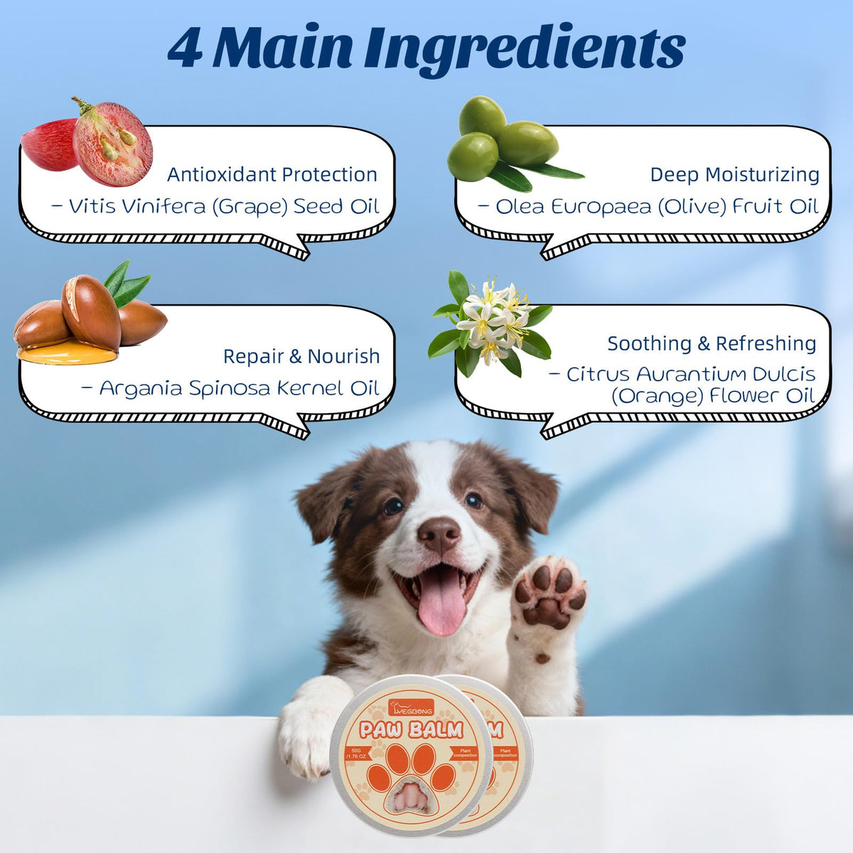 Coconut Chicken Flavor Dog Toothpaste with Toothbrush Kit 2.1oz D942385