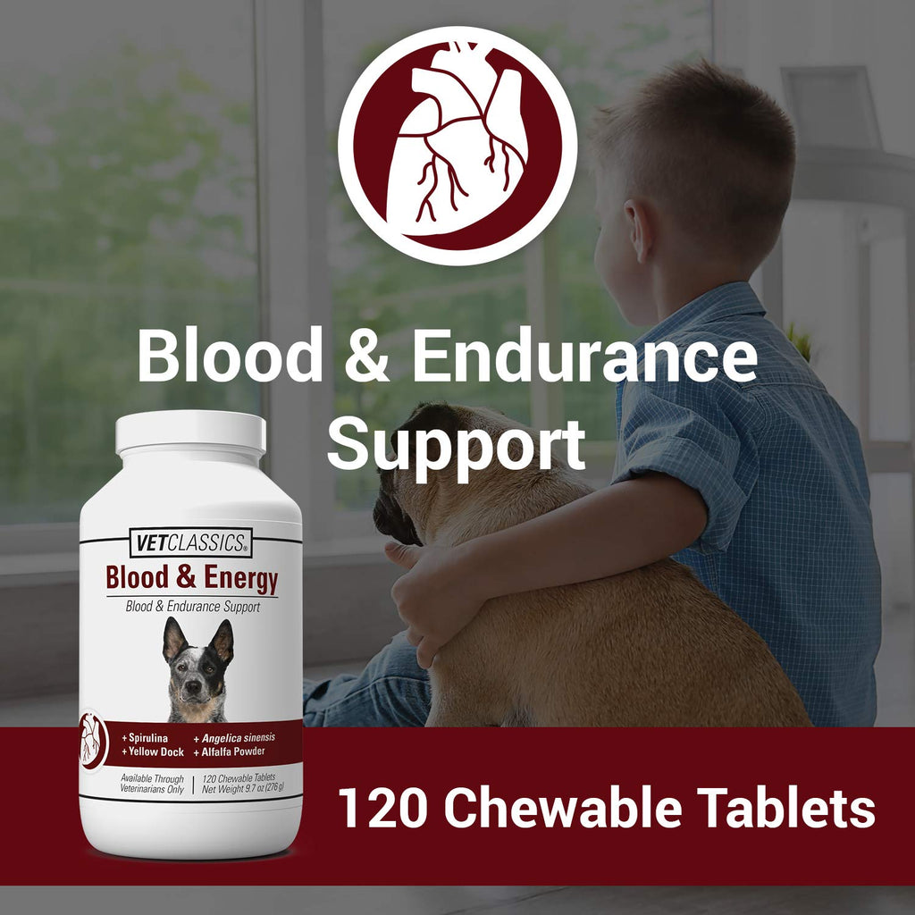 Blood & Energy Support Supplement for Dogs 120 Tablets A52125