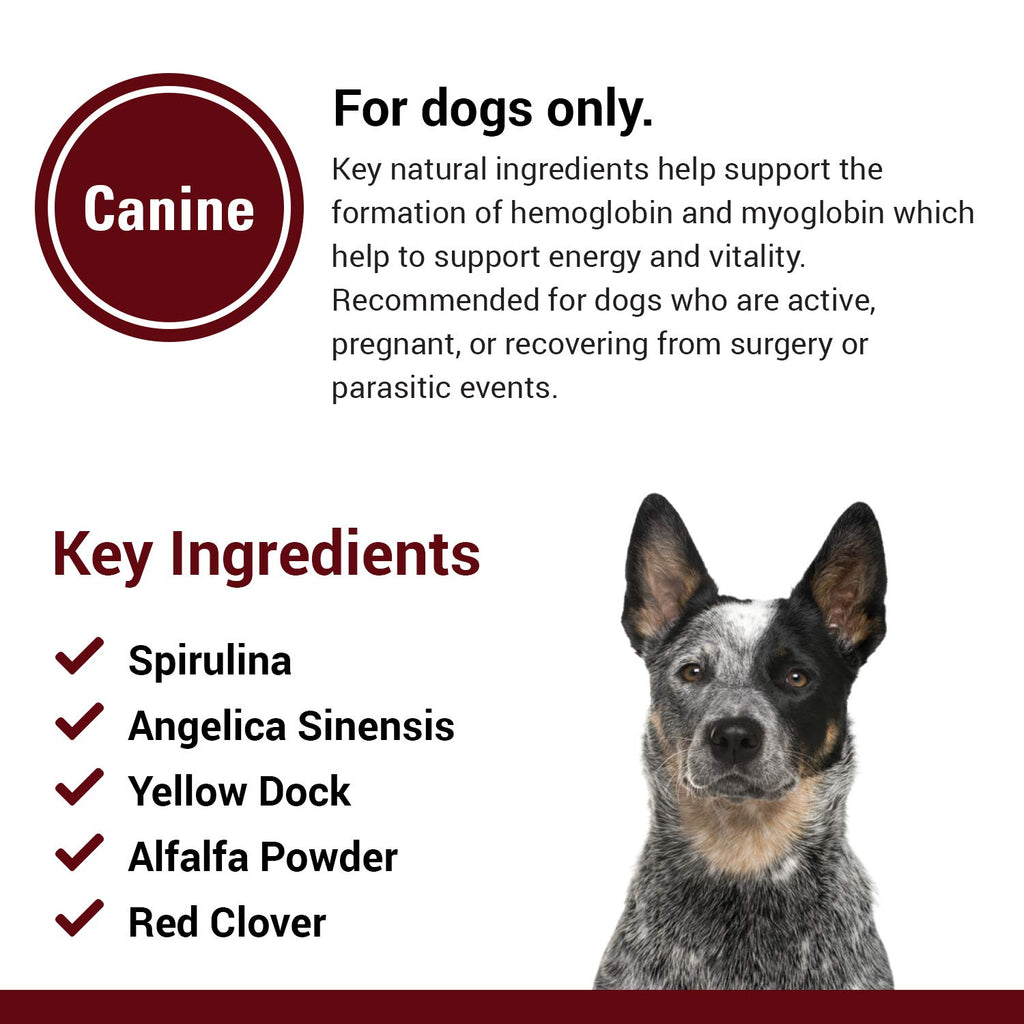 Blood & Energy Support Supplement for Dogs 120 Tablets A52125