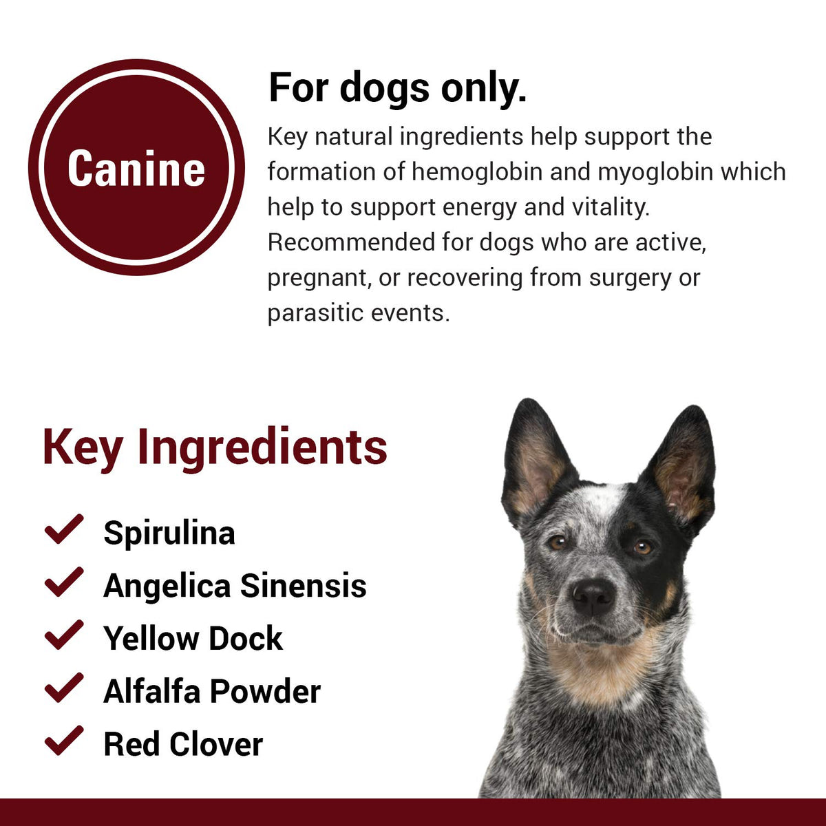 Blood & Energy Support Supplement for Dogs 120 Tablets A52125