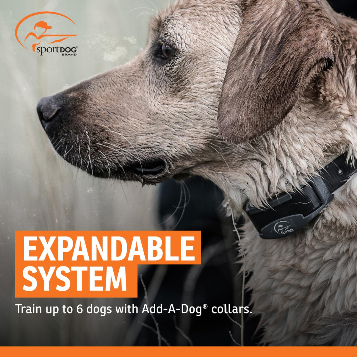 Add-A-Dog Waterproof Collar C219