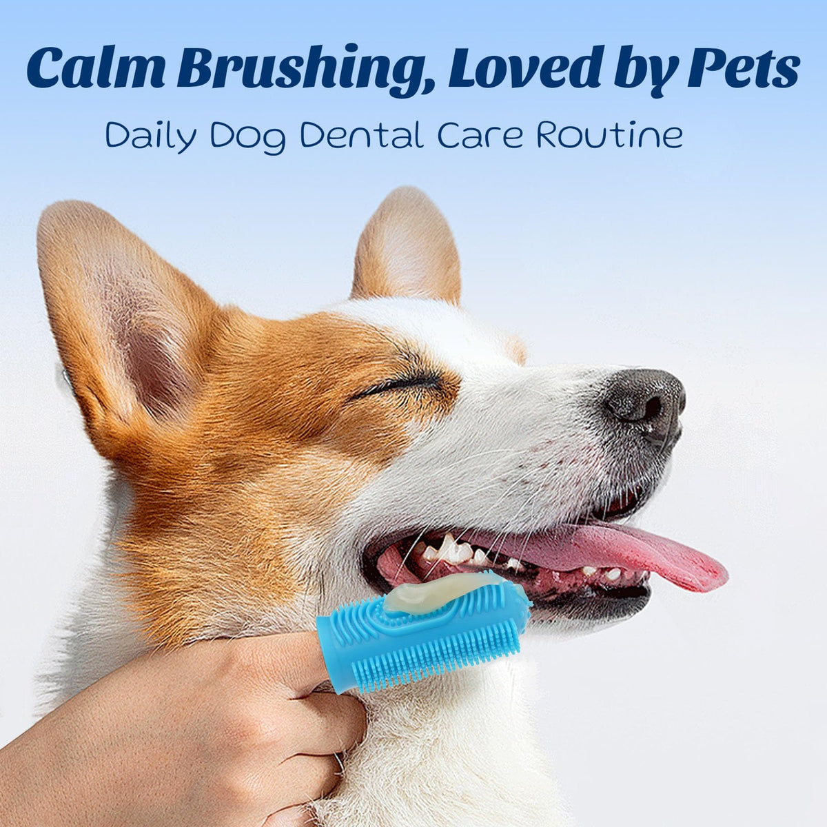 Coconut Chicken Flavor Dog Toothpaste with Toothbrush Kit 2.1oz D942385