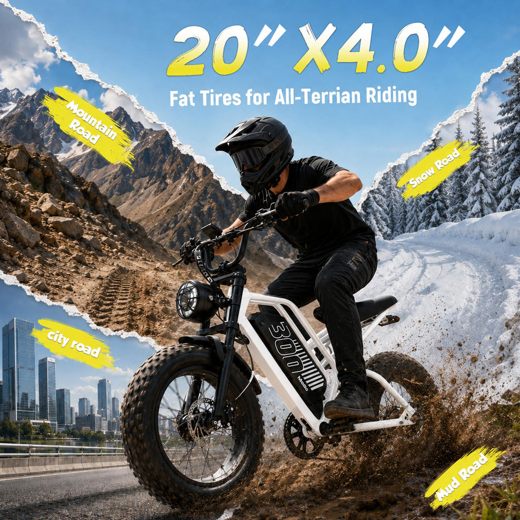 Electric Bike 48V 20.8/41.6Ah Battery 1500W Peak Motor 20×4.0" Fat Tire U18555