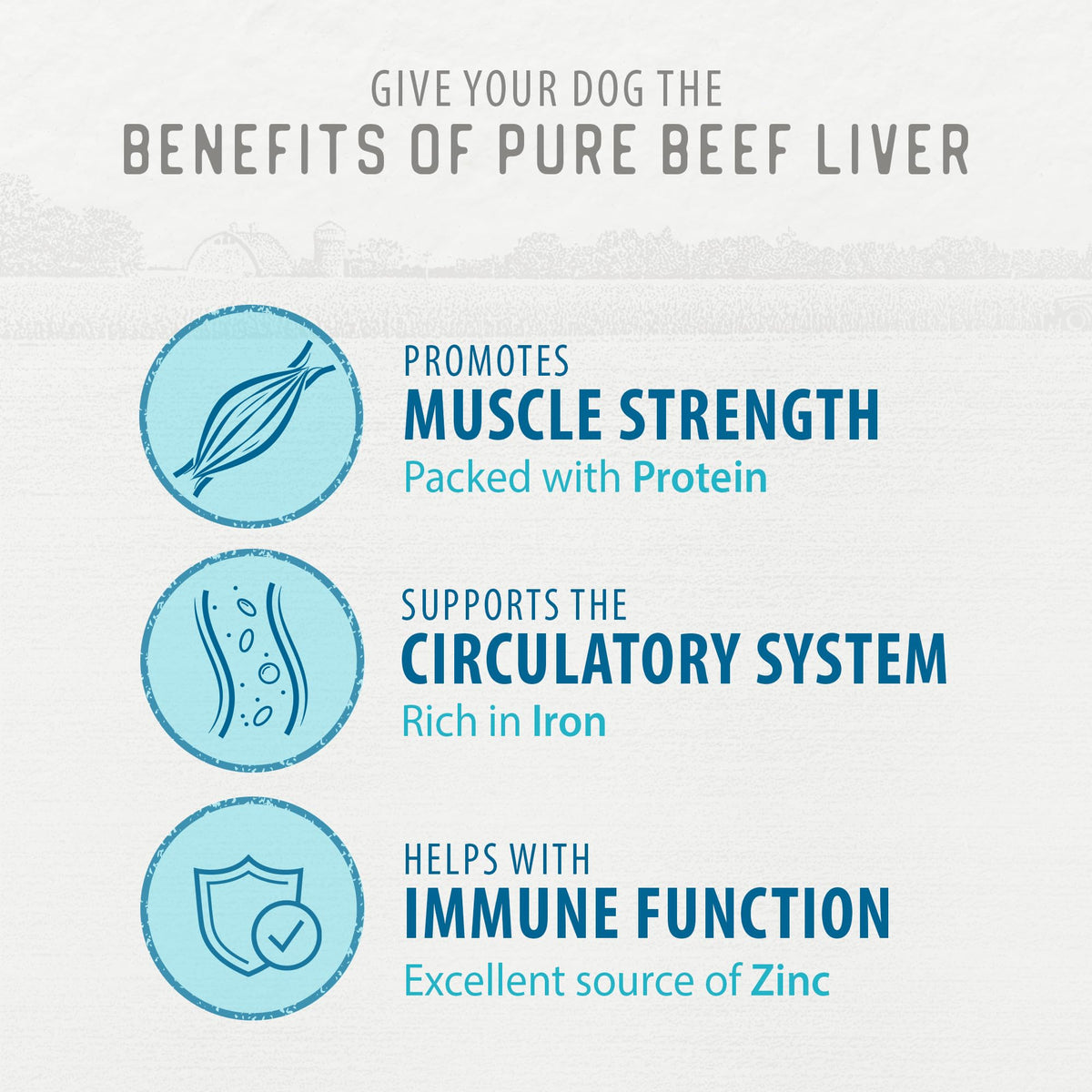 Freeze Dried Beef Liver Dog Treats, 5.3OZ X766