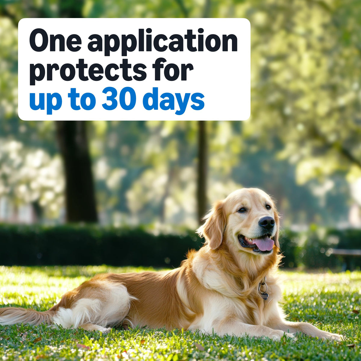 Flea and Tick Topical Treatment for Medium Dogs 3 Count S931292