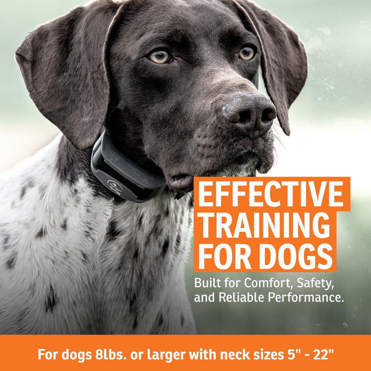 Add-A-Dog Waterproof Collar C219