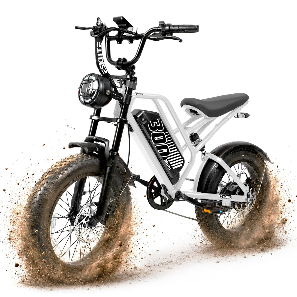 Electric Bike 48V 20.8/41.6Ah Battery 1500W Peak Motor 20×4.0" Fat Tire U18555