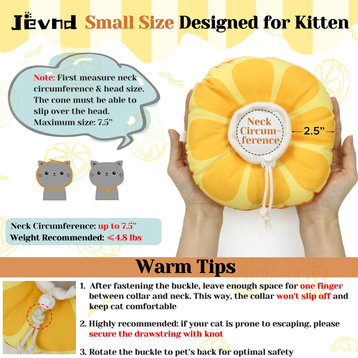 Extra Small Cone Collar L616517
