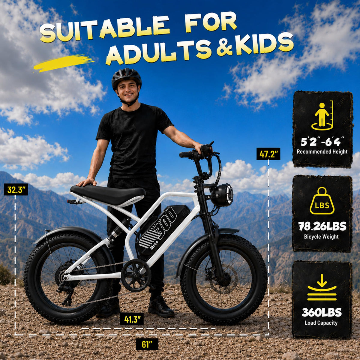Electric Bike 48V 20.8/41.6Ah Battery 1500W Peak Motor 20×4.0" Fat Tire U18555
