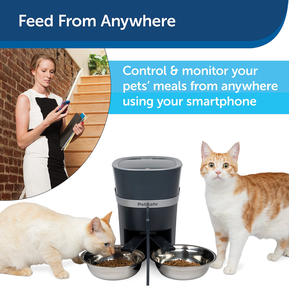 Automatic Pet Feeder with 2-Pet Meal Splitter K836931
