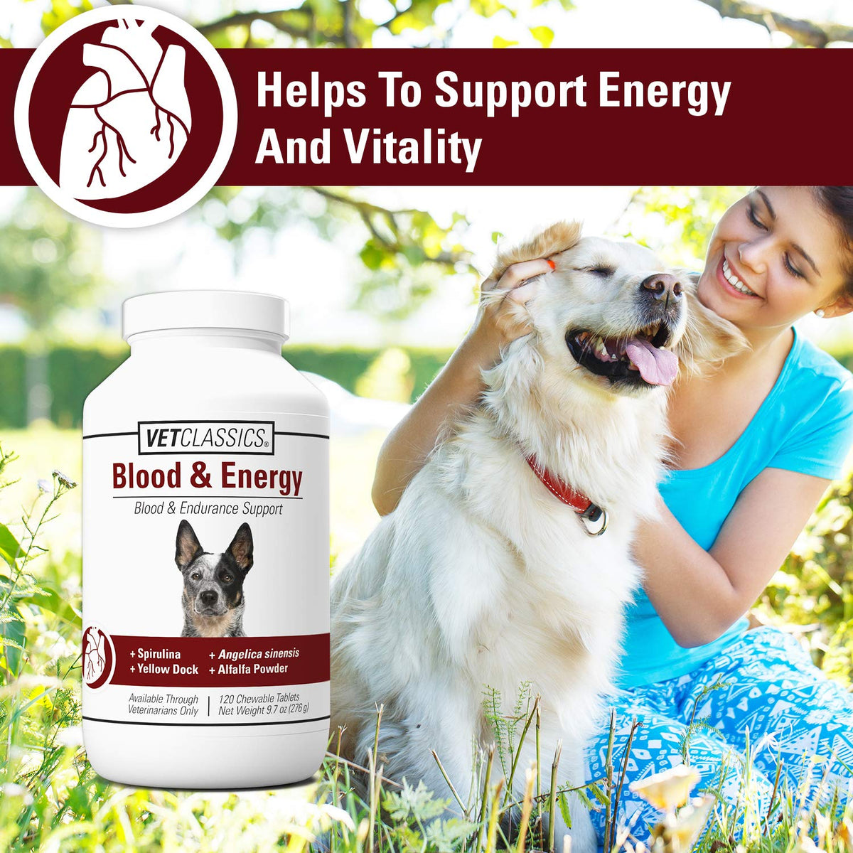 Blood & Energy Support Supplement for Dogs 120 Tablets A52125