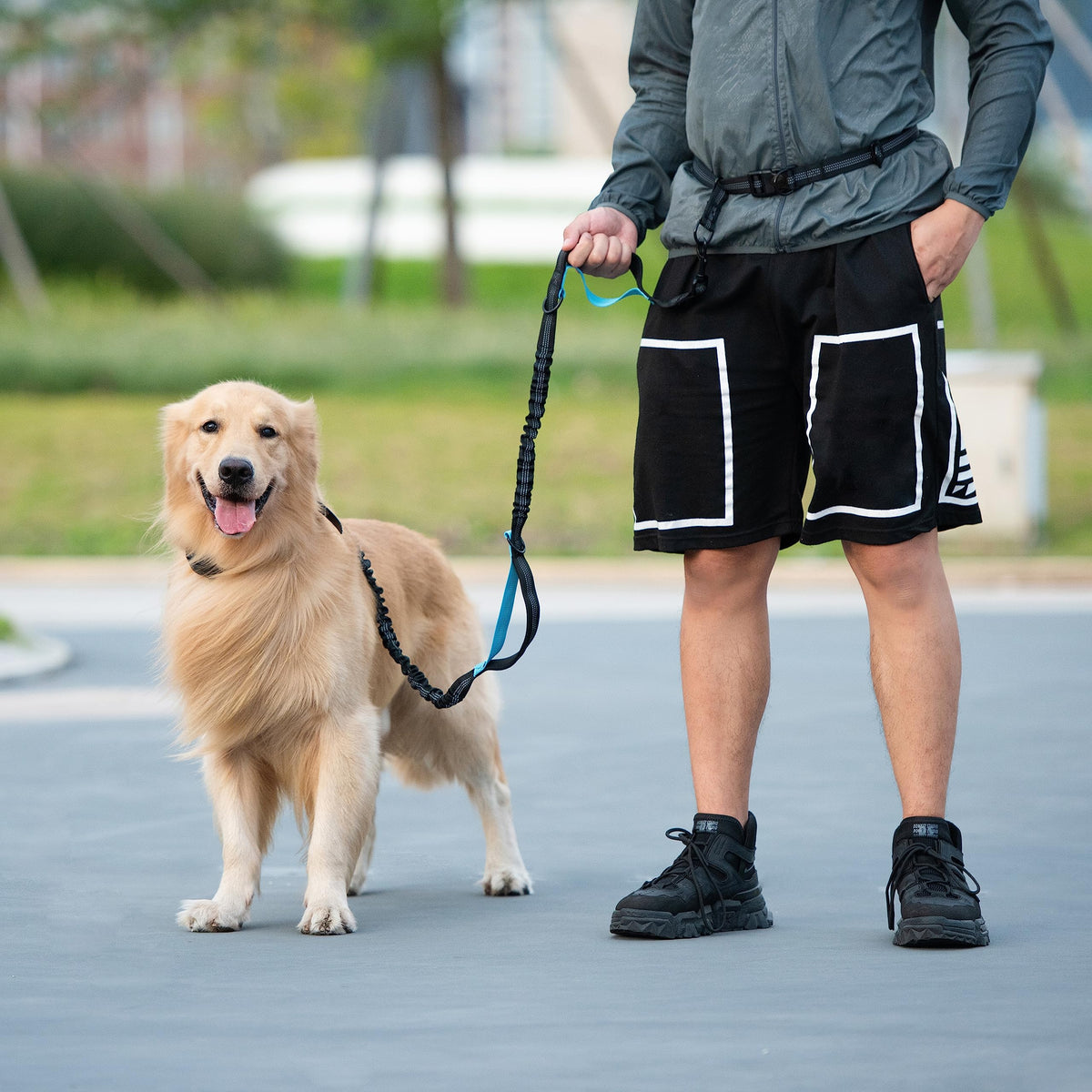 Hands Free Dog Leash with Zipper Pouch, Large, Black H57121